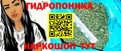 гашик Можга
