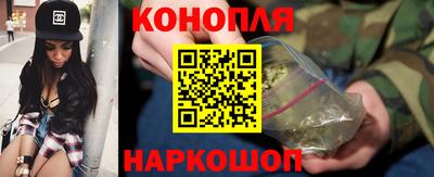 гашик Можга