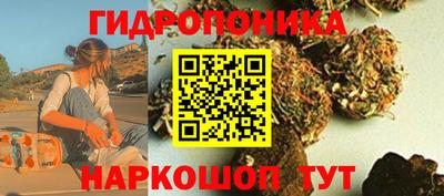соль ск Моздок
