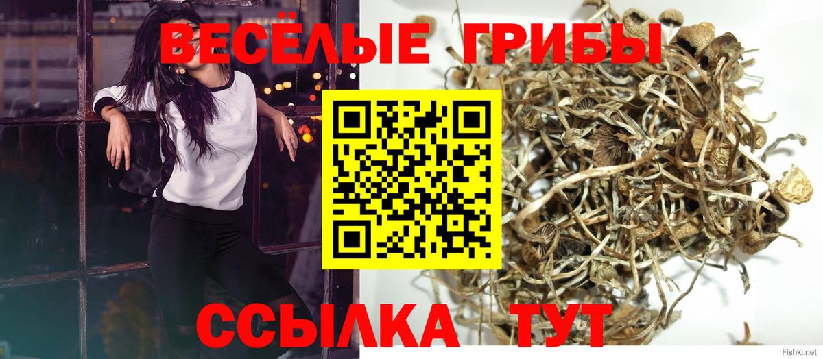 Пыть-Ях  хочу наркоту  Вход с VPN  Галлюциногенные грибы Cubensis 