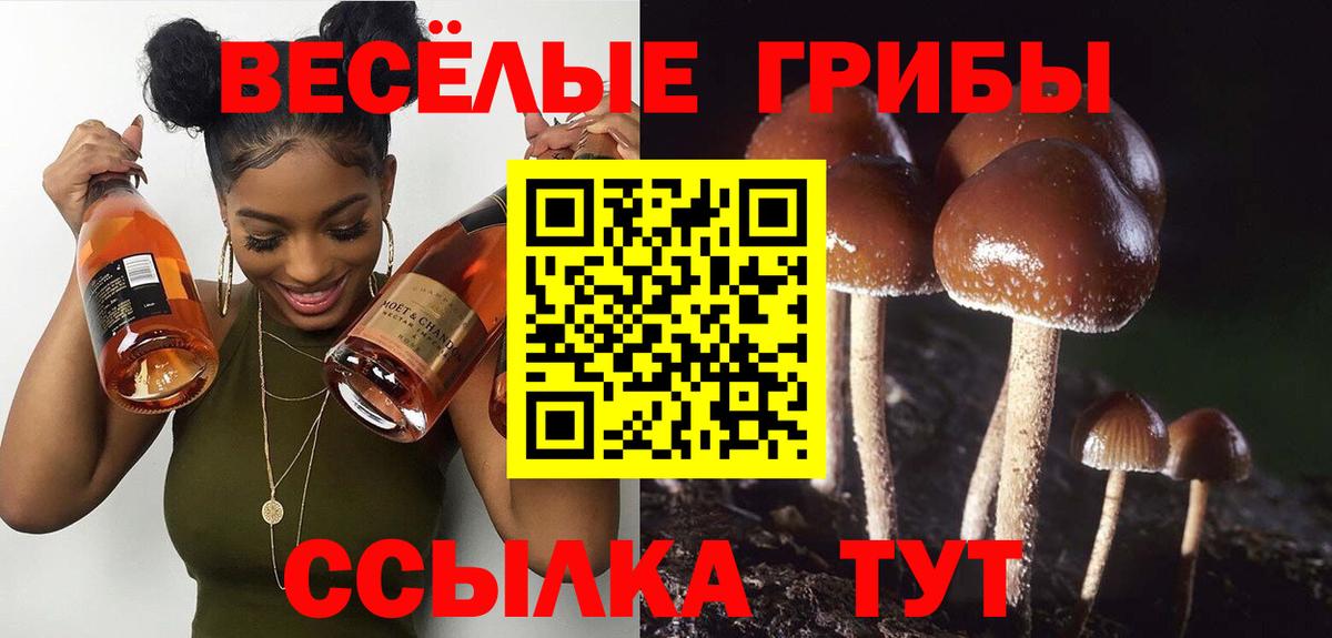 Галлюциногенные грибы MAGIC MUSHROOMS Пыть-Ях